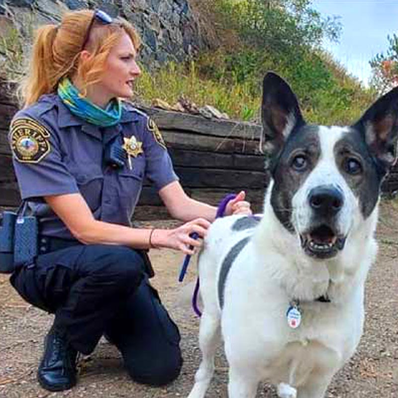 Dog saved by colorado animal control officer