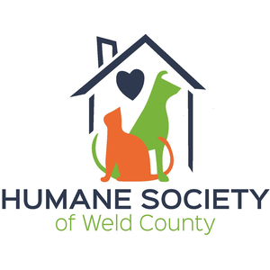 Community Engagement Coordinator