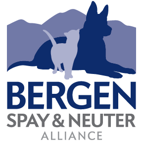 Bergen Spay and Neuter Alliance