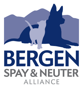logo_bergen_web72transparent_logo color (1)