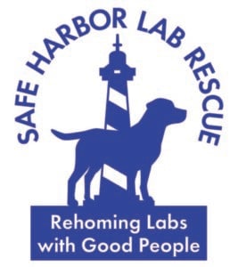 Safe Harbor Lab Rescue