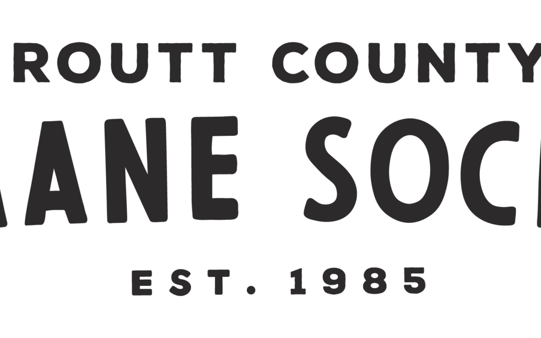 Animal Care Associate
