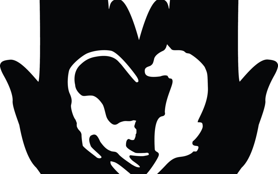 Veterinary Technician / Medical Assistant