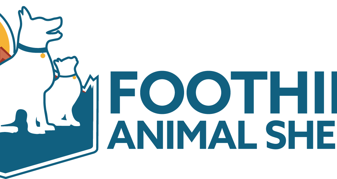 Director of People & Engagement