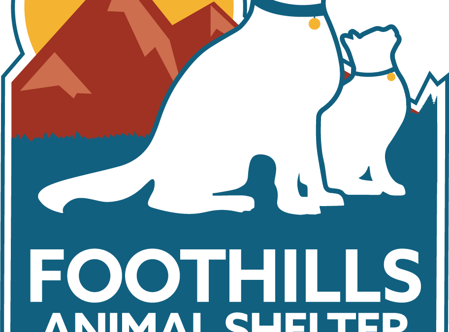 Animal Intake and Evaluation Specialist