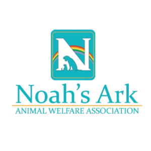 Executive Director