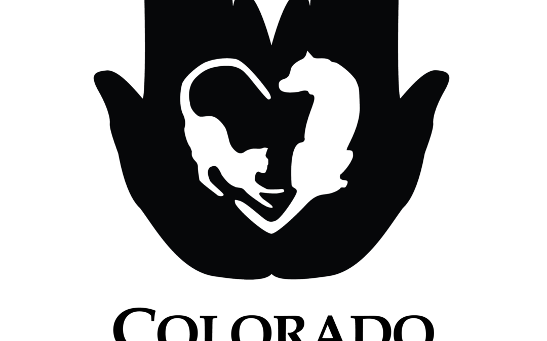 Lead Veterinary Technician