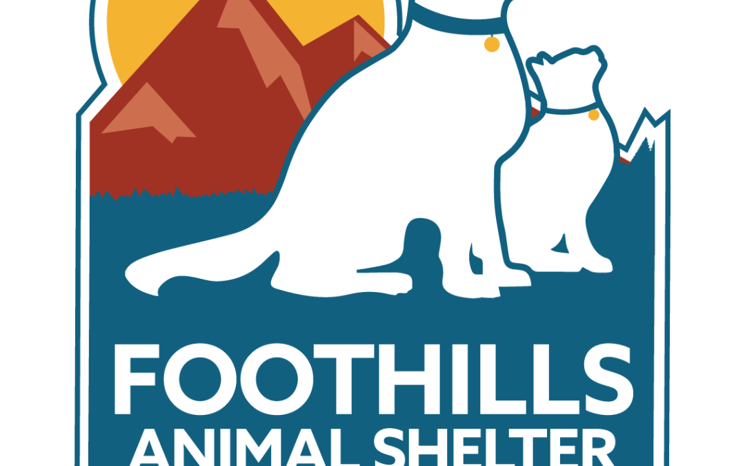 Lead Veterinary Technician