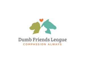 Clinical & Surgical Instructor Veterinarian at the Dumb Friends League