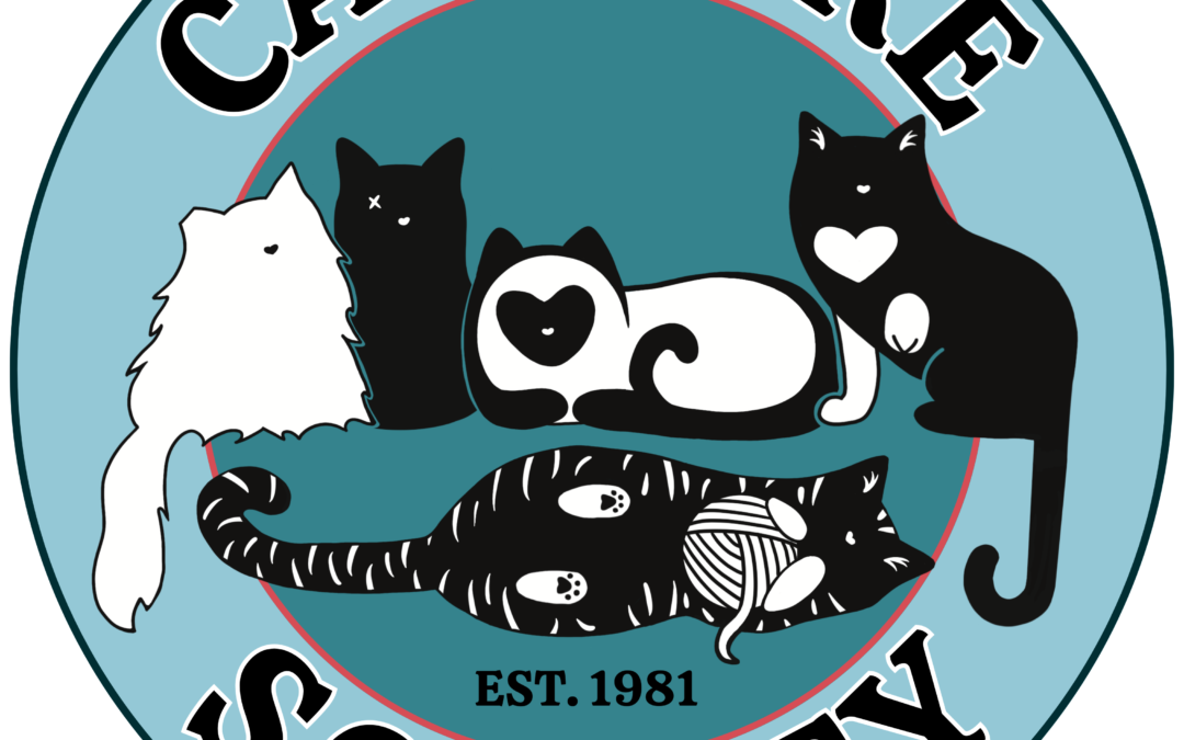 Volunteer & Retail Coordinator (Part-Time)