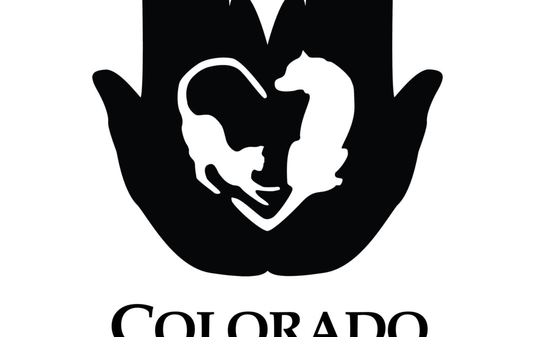 Canine Behavior Manager
