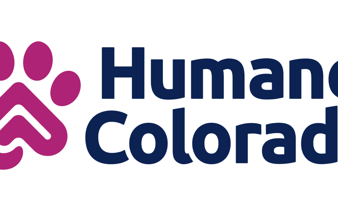 Veterinary Assistant II – Animal Hospital