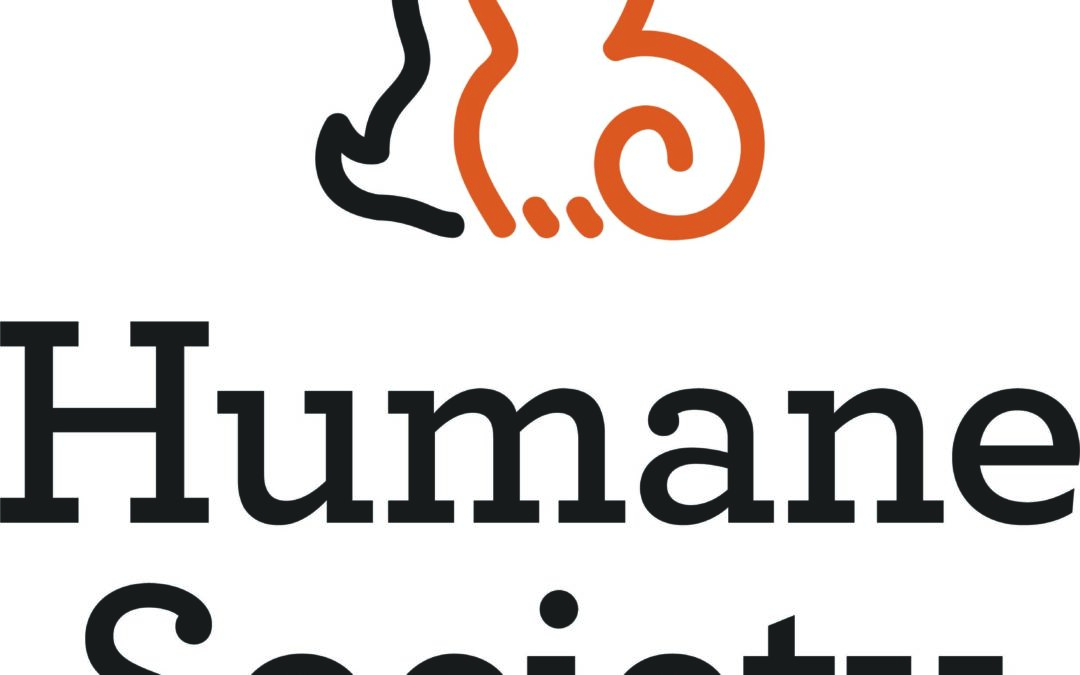 Individual Giving Manager