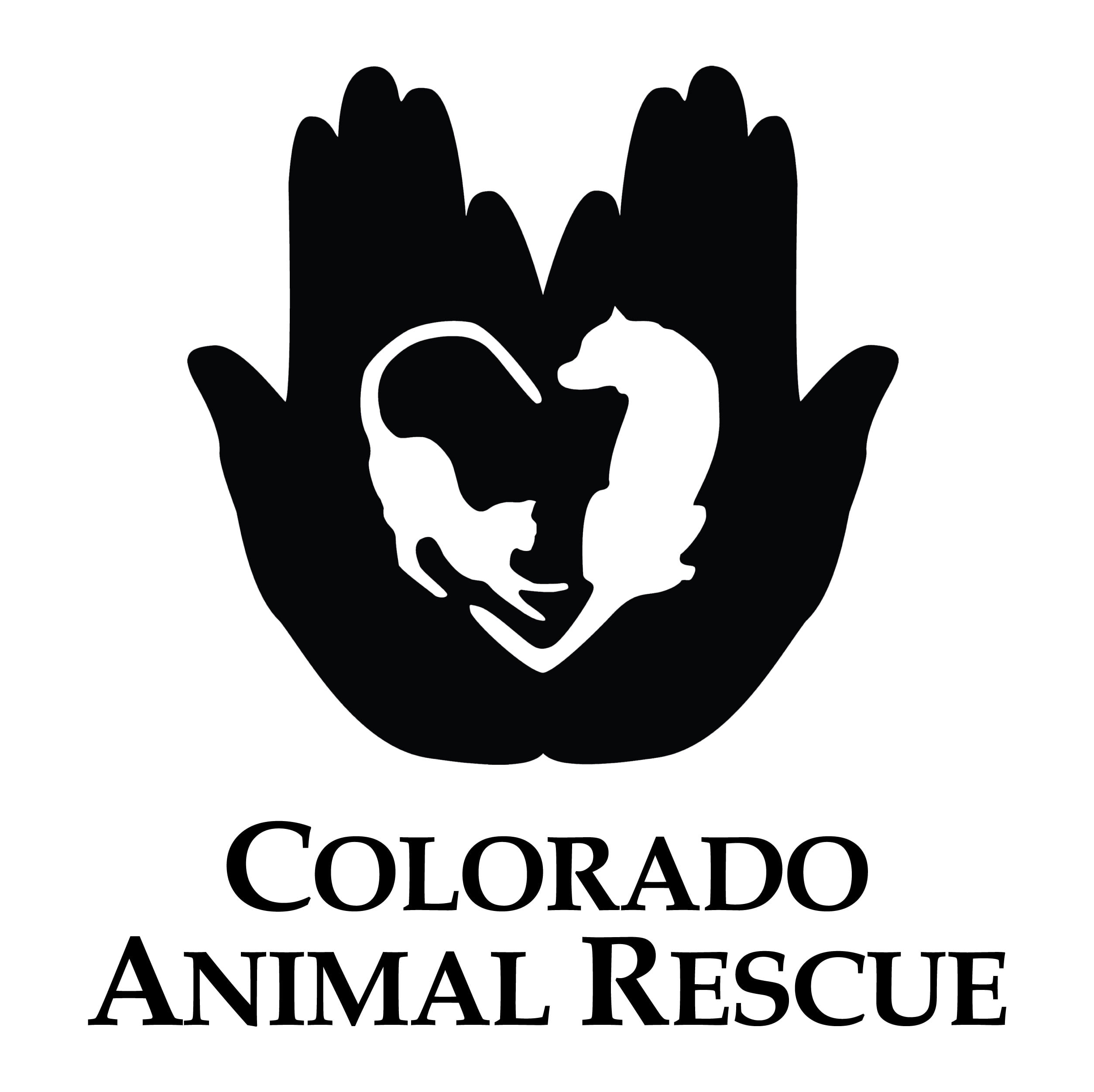 Canine Behavior Consultant