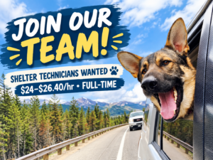 Shelter Technician